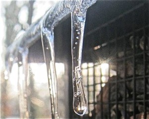 icicles