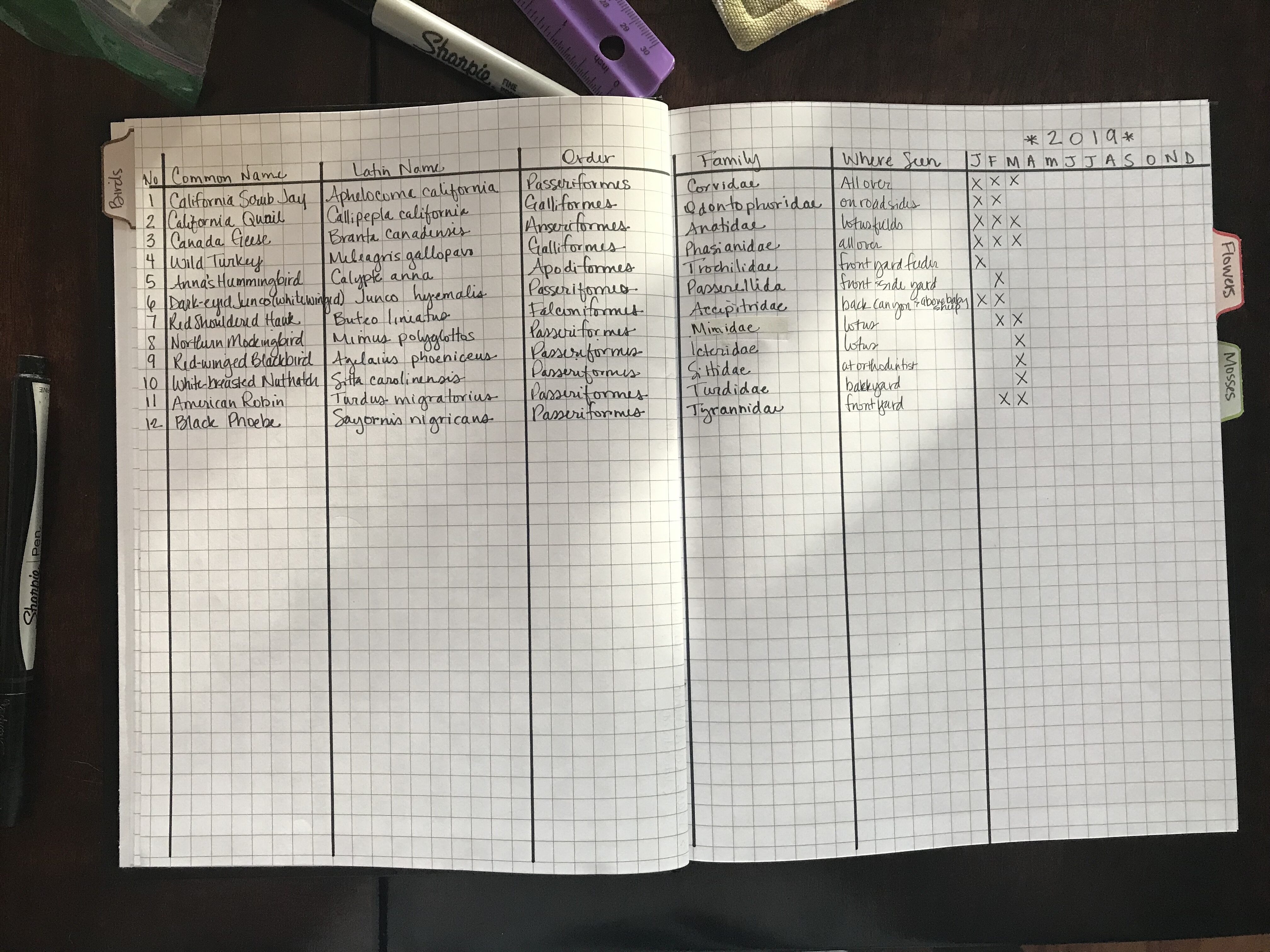 Utah Homeschool Curriculum Guide