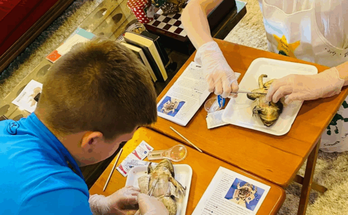 High School Biology Dissection
