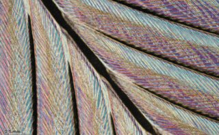 Why I Offer Both Faith-Based and General Audience Versions of My Curriculum